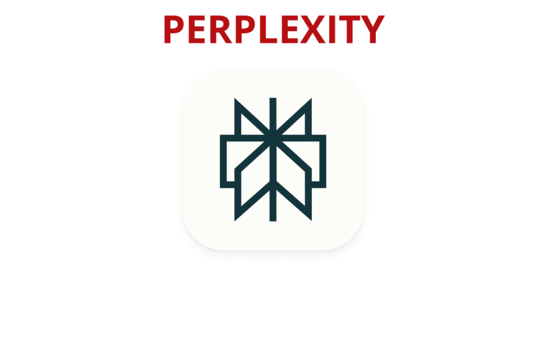 Perplexity